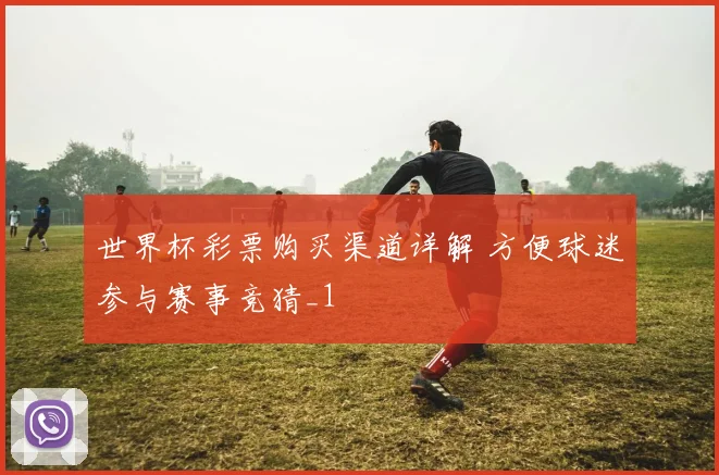 世界杯彩票购买渠道详解 方便球迷参与赛事竞猜_1
